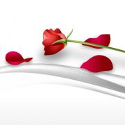 Your Romantic Escape